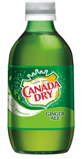 Imagen de GINGER ALE 24/10 BOTELLA CANADA DRY