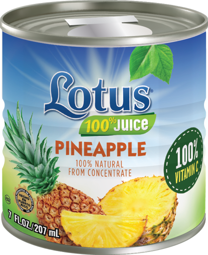 Imagen de PINA JUGO LOTUS