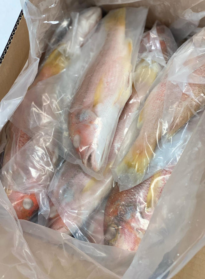 José Santiago Home Delivery. WHOLE RED SNAPPER .5-1LB PACKER LABEL